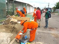 Casos de dengue crescem 75% no DF nas primeiras 12 semanas de 2013