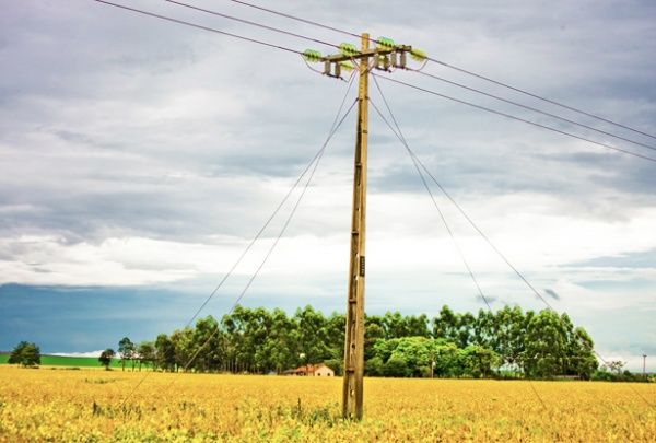 CADASTRO PARA ENERGIA ELÉTRICA NA ZONA RURAL